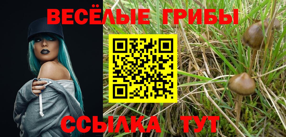 Галлюциногенные грибы прущие грибы  Вход с VPN  Галлюциногенные грибы мухоморы  Сочи 