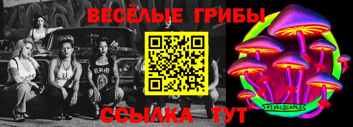 Галлюциногенные грибы Psilocybe Сочи